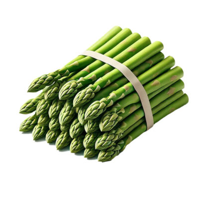 Spargel grün im 450g Bund 12mm+ Spanien