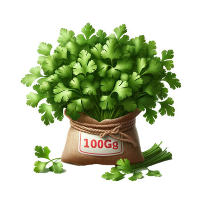 Koriander 100 g Stück