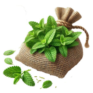 Zitronenmelisse 100 g Schale
