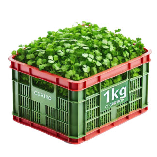 Koriander 1 kg