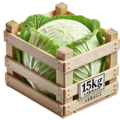 Weisskohl 15 kg Kiste
