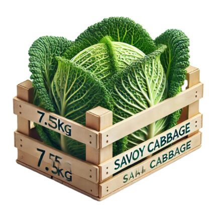 Wirsingkohl 9 kg Kiste