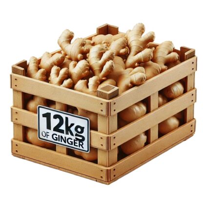 Ingwer 1kg