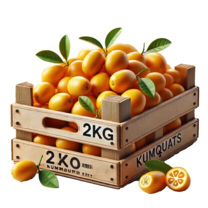 Kumquats 2 kg Kiste