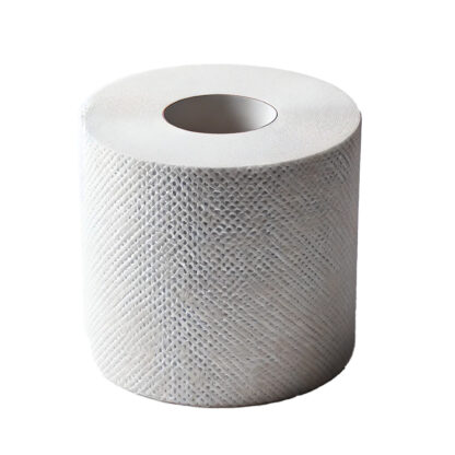 Toilettenpapier hochweiß 2-lagig 8 x 8 Rollen a 250 Blatt im Um-Pack